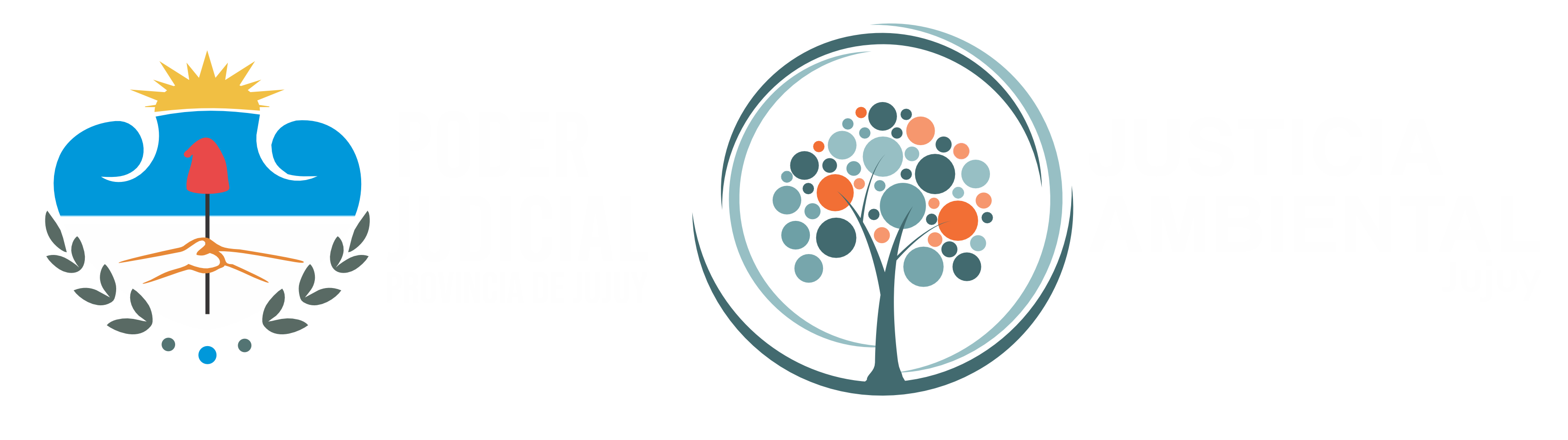 Aula virtual poder judicial jujuy